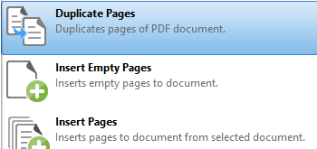 Duplicate Pages