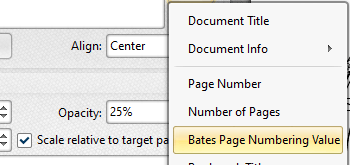 Bates Page Numbering Value Macro