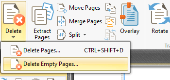 Delete Empty Document Pages