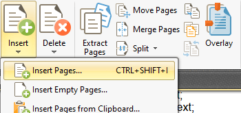 Insert Pages into Documents