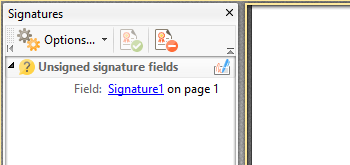 Use the Signatures Pane to View/Edit Signature Information
