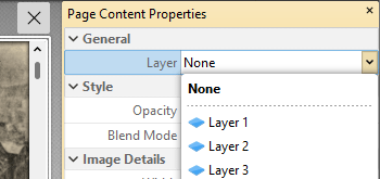 View/Edit the Layer Property of Images and XForms